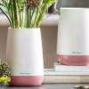 Yula Vase 
