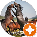 ΣΤΕΛΙΟΣ ΒΛΑΝΤΟΥΣΗΣ