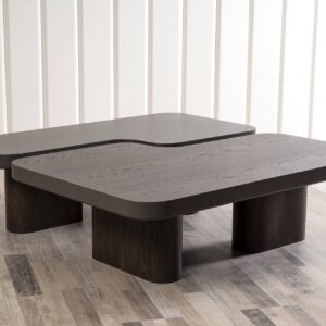 Τραπέζι σαλονιού Twin 